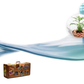 I have been coaching leaders and individuals from many different cultures and background and feel at ease in diverse situations : transition coaching, change management coaching, development coaching, ...
I also recently worked with young managers nearly ready for promotions or willing to reconsider their professional career. 
 I am also experienced in team coaching . Situation can go from merger, acquisition, divestiture, on boarding new leader, team effectiveness...