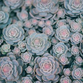 Kérdéseimmel támogatlak, hogy megtaláld megoldásaidat életed kérdéseire.
Gondolatébresztő, kreatív beszélgetésünk arra inspirál, hogy a legtöbbet, legjobbat hozd ki önmagadból.

Beszélgessünk, ha:

-kihívás vagy változás előtt állsz
-feszült helyzetben vagy
-nehéz döntésekkel kell megbírkóznod
-élethelyzeted változás előtt áll
-nagy terveket szeretnél megvalósítani
-életed következő szakaszát terveznéd meg