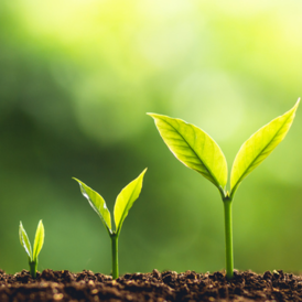 Ronel Grundling has completed the Coaching for Development Programme at the University of Cape Town Graduate School of Business. The training forms part of the Executive Education suite and she has gained practical coaching experience through case studies and in-training coaching. She has also obtained her credentialing from the International Coaching Federation. She specialises in working with individual clients. She is also an author, focusing on true life stories of hope. Furthermore, she also has corporate experience in terms of process management, communication, training and branding. She has been running corporate Diversity initiatives, promoting acknowledgement and recognition of all cultural groups.
Ronel is a Development Coach, with a credentialing level of Associate Coach. She provides personal, life skills, parenting and career coaching; with the addition of diversity discussions and dealing with loss. Her mentoring also extends to all the areas mentioned above. 
Her true passion lies in walking a co-creative path with fellow humans to assist them in growing towards their full potential and achieving objectives that may be challenging or long overdue.