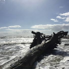 As an experienced coach with almost 2500 coaching hours I have repeatedly seen those who commit to the process grow personally, begin to make better decisions, experience better relationships, build better teams and lead better performance and achieve better results. Having worked mainly with leaders in organisations, including C-suite, Executives, and all levels of management, has enabled me to significantly deepen my understanding of how organisations work and of the challenges faced by leaders in organisations.
With more than 40 years of both formal and informal experience in working with a broad spectrum of people, including many in various leadership roles, I feel ideally equipped to facilitate growth and transformation for individuals within teams and organisations. Whatever my role has been over the last 40 years, my work and life experience has centred on helping people. My core motivation is to see others achieve positive transformation and forward momentum. I thrive on helping others grow in their personal mastery, develop more effective habits, and live more purposefully. Leadership Development and performance are particular areas of interest for me and these are often aspects I am asked to help clients grow in. I have, however, helped client’s achieve a broad spectrum of goals and business objectives.
Organisational challenges that have been part of the focus of coaching, facilitation or consulting engagements include: leadership development, leading performance, organisational culture, talent management, Employee engagement, breaking silos, change management, developing a coaching capacity, succession planning, productivity and creating growth.