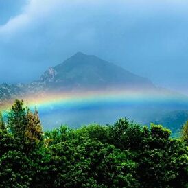 I am a somatic coach and a trauma informed coach. I help you uncover trauma response in your behaviour and help you to feel your true Self. Thus growing Self-understanding, resilience, productivity, ability to rest (overcoming trauma response of fight/flight, freeze mechanisms, and increasing quality of life!