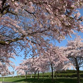 Are you navigating change, seeking confidence and authenticity? Do you want to grow, adapt, and thrive while staying true to yourself? I’m here to help you find clarity, balance, and fulfilment.

Growth isn’t just about skills and achievements—it’s about mindset, self-awareness, and emotional well-being.

My coaching takes a holistic approach, helping you overcome self-doubt, perfectionism, and the internal roadblocks that keep you from feeling confident and fulfilled.

Through my coaching, clients have:
✅ Built unshakable confidence in themselves and their choices
✅ Overcome perfectionism and self-judgment
✅ Strengthened their ability to communicate authentically
✅ Shifted their mindset to embrace growth and resilience
✅ Found greater joy and fulfilment in their personal and professional lives

I work with people who want to express themselves fully, navigate life’s challenges with confidence, and create meaningful growth. Whether you’re going through a big transition, facing self-doubt, or seeking more balance and self-acceptance, I provide a supportive and tailored approach to help you thrive.

Personal growth is a journey of continuous discovery. If you're ready to step into your full potential with confidence and authenticity, I’d love to support you.

Let’s take the next step together.